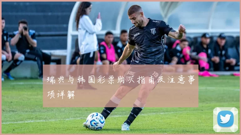 瑞典与韩国彩票购买指南及注意事项详解